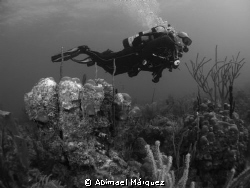 Divers, Vieques, P.R. by Abimael Márquez 